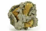 Golden Pyrite on Limonite Clay - Pakistan #283735-1